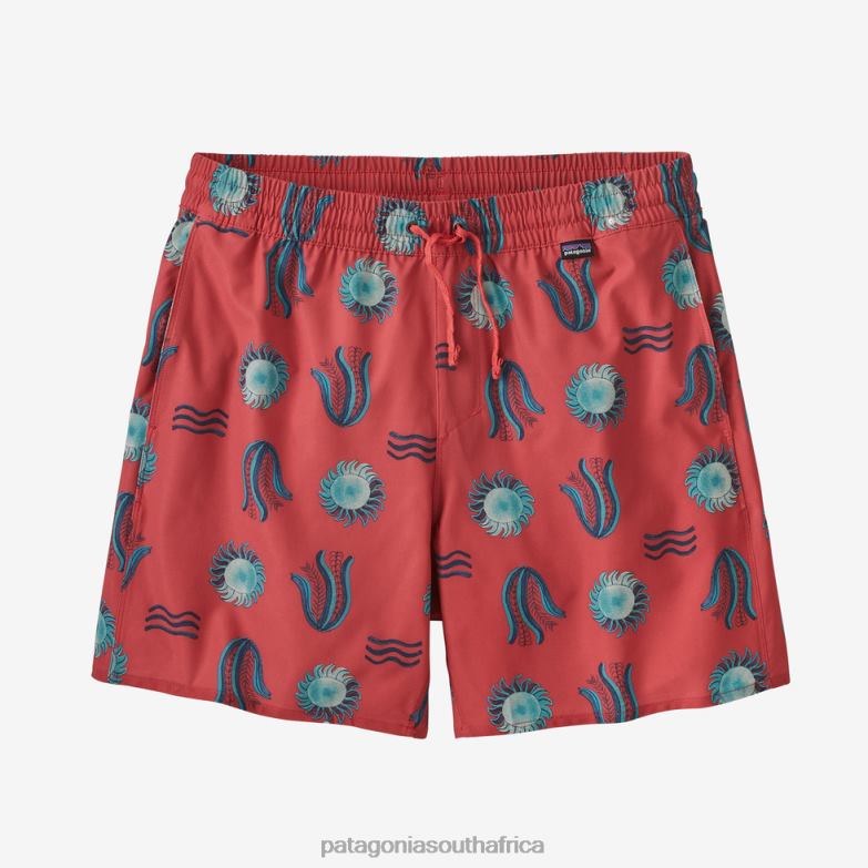 Men Hydropeak Volley Shorts-16