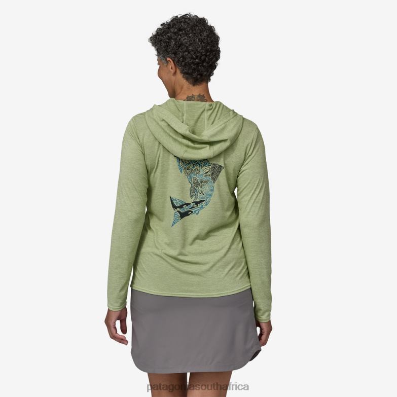 Women Capilene Cool Daily Graphic Hoody Upstream Steelhead: Salvia Green X-Dye Patagonia Apparel P6ZJ6676